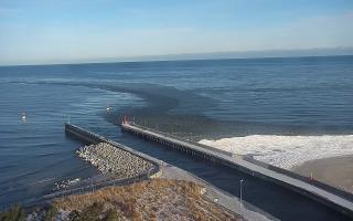 Rowy wejście do portu - 01-02-2026 08:39