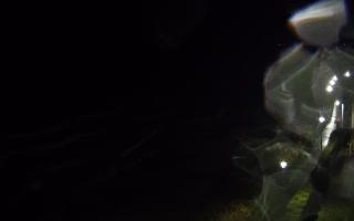 Ustronie Morskie plaża - 17-11-2025 22:15