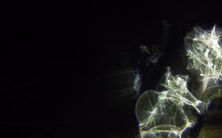 Ustronie Morskie plaża - 26-01-2026 04:52