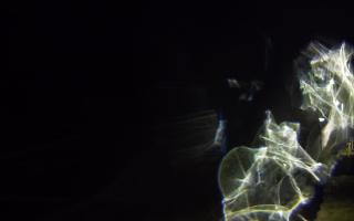 Ustronie Morskie plaża - 26-01-2026 05:08