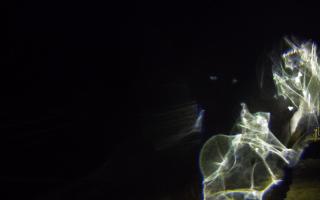 Ustronie Morskie plaża - 26-01-2026 05:24