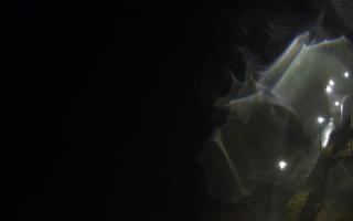 Ustronie Morskie plaża - 22-02-2026 22:31