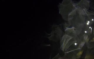 Ustronie Morskie plaża - 25-02-2026 00:56