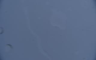 Śnieżka - 04-04-2026 06:45