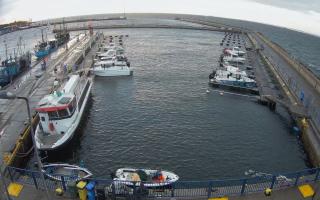 Hel Marina - 21-11-2024 06:21