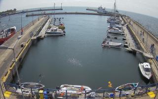 Hel Marina - 17-06-2025 10:45