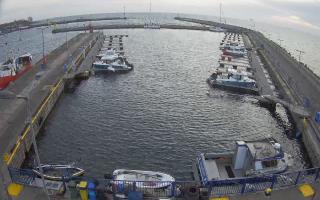 Hel Marina - 01-11-2025 14:06