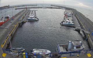 Hel Marina - 01-11-2025 14:13
