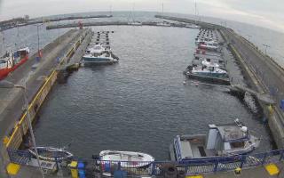 Hel Marina - 01-11-2025 14:27