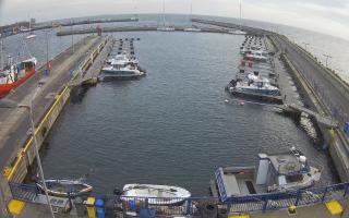 Hel Marina - 01-11-2025 14:42