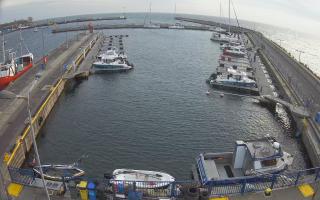 Hel Marina - 01-11-2025 14:56