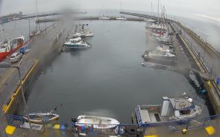 Hel Marina - 02-11-2025 06:52