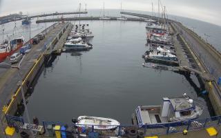 Hel Marina - 02-11-2025 09:27