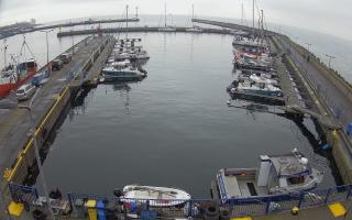 Hel Marina - 02-11-2025 09:34