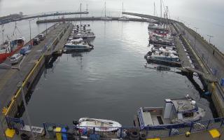 Hel Marina - 02-11-2025 09:41