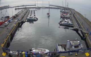 Hel Marina - 02-11-2025 09:48