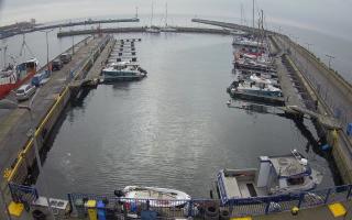 Hel Marina - 02-11-2025 10:02