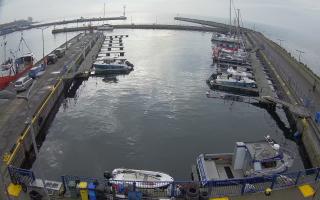 Hel Marina - 02-11-2025 10:24