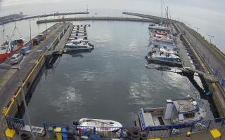 Hel Marina - 02-11-2025 10:45