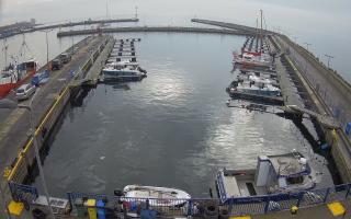 Hel Marina - 02-11-2025 10:52