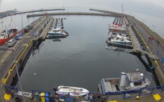 Hel Marina - 02-11-2025 11:06