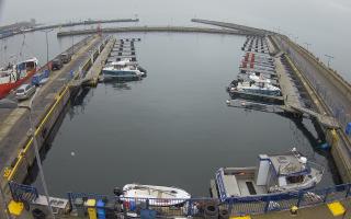 Hel Marina - 02-11-2025 11:20