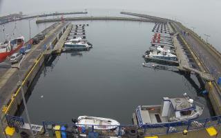 Hel Marina - 02-11-2025 11:27
