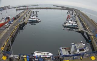 Hel Marina - 02-11-2025 11:48