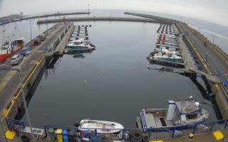 Hel Marina - 02-11-2025 11:55
