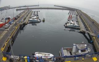 Hel Marina - 02-11-2025 12:02