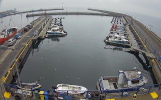 Hel Marina - 02-11-2025 12:09