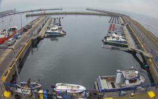 Hel Marina - 02-11-2025 12:16