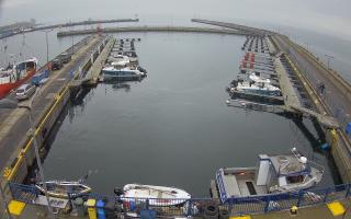 Hel Marina - 02-11-2025 12:30