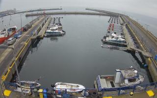 Hel Marina - 02-11-2025 12:37