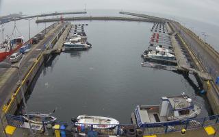 Hel Marina - 02-11-2025 12:44