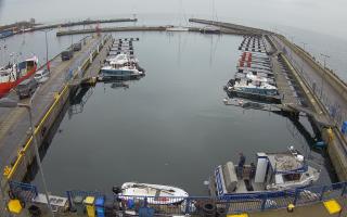 Hel Marina - 03-11-2025 07:23