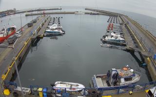 Hel Marina - 03-11-2025 07:51