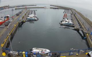 Hel Marina - 03-11-2025 07:58