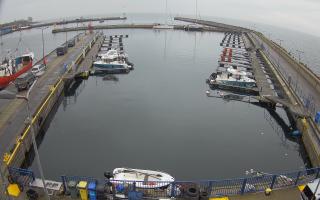 Hel Marina - 03-11-2025 08:33