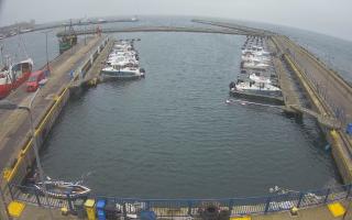 Hel Marina - 18-12-2025 08:18