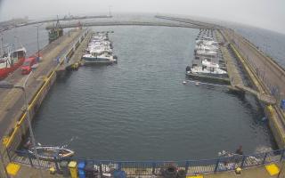 Hel Marina - 18-12-2025 09:35