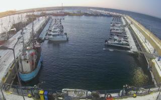 Hel Marina - 01-02-2026 06:09