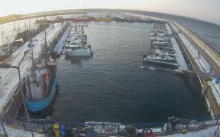 Hel Marina - 01-02-2026 06:16