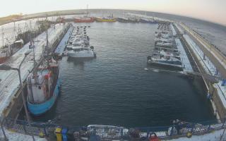 Hel Marina - 01-02-2026 06:30
