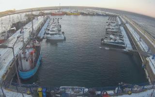 Hel Marina - 01-02-2026 06:37