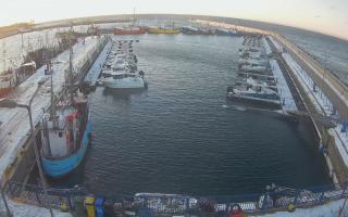 Hel Marina - 01-02-2026 06:51