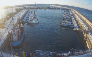 Hel Marina - 01-02-2026 07:19