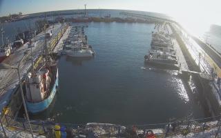 Hel Marina - 01-02-2026 13:04