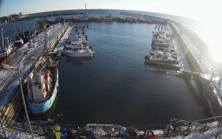 Hel Marina - 01-02-2026 13:53