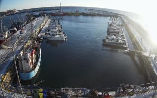 Hel Marina - 01-02-2026 14:00